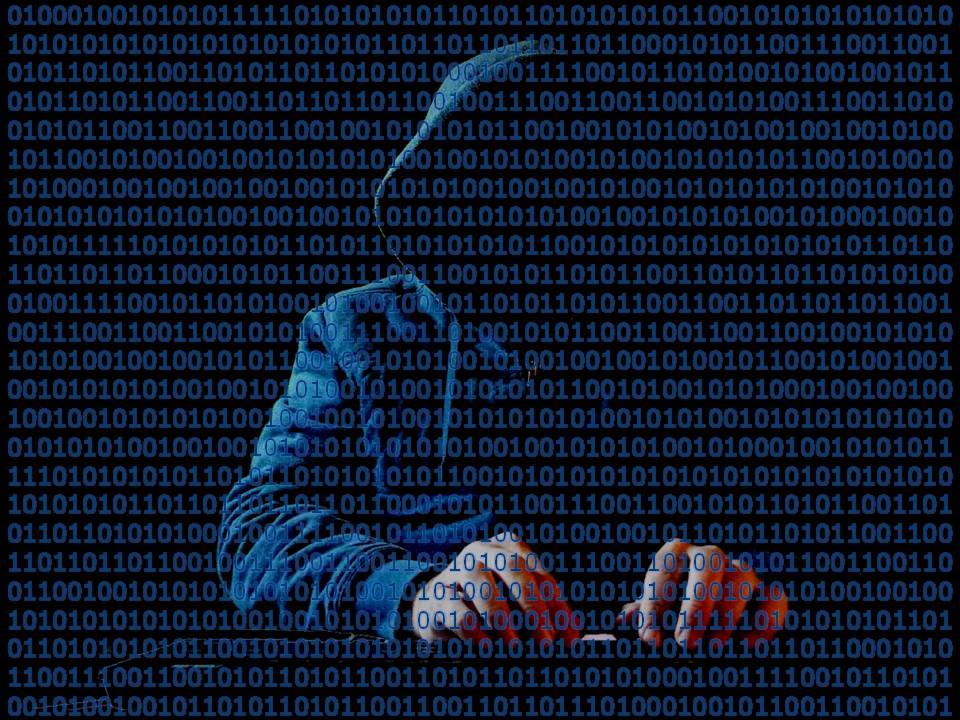 content/slides/privacy/images/tor/hacker.jpg
